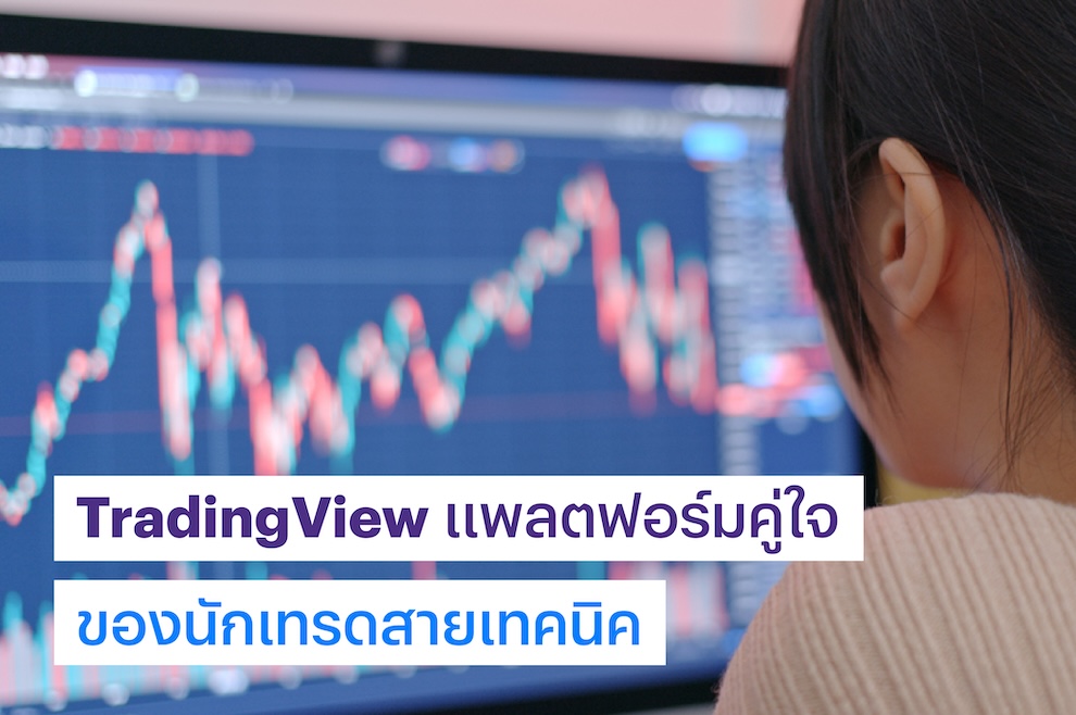 TraderView 
	<h2
	style=