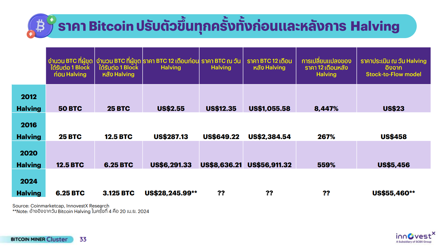 Bitcoin Miner Cluster